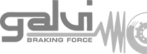 Galvi logo